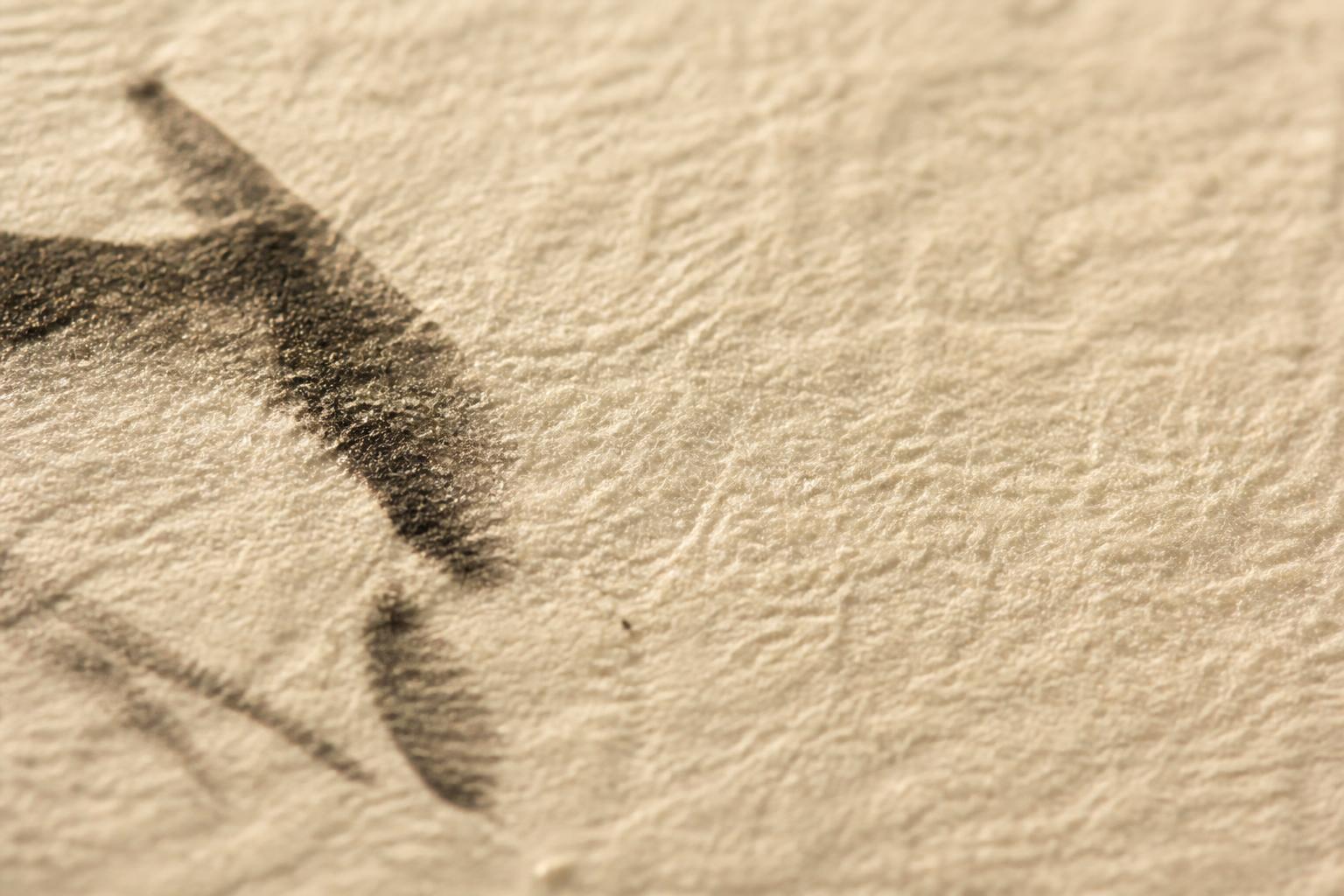 Tekstura papira i tinte